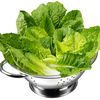 Update: Some Romaine Now Safe To Eat